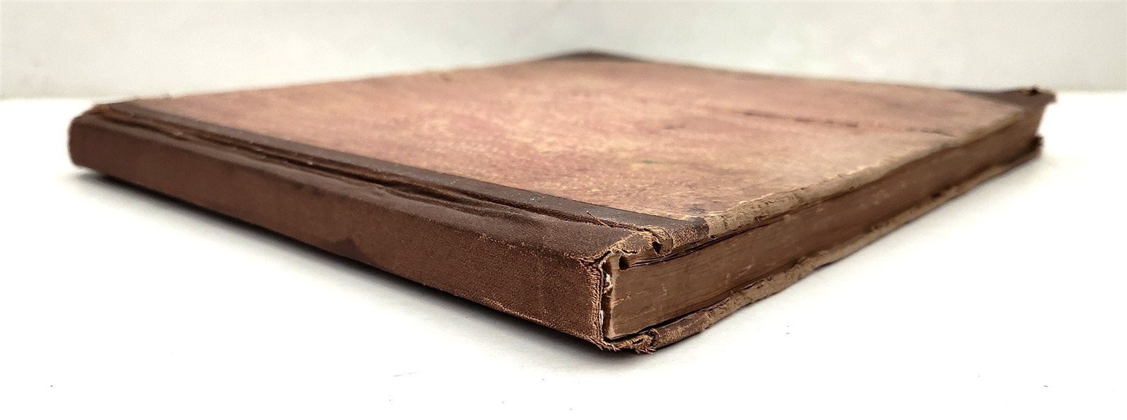 1883 antique SEAWEED pressed ALBUM monterey ca EUGENIE PHILLIPS specimen book