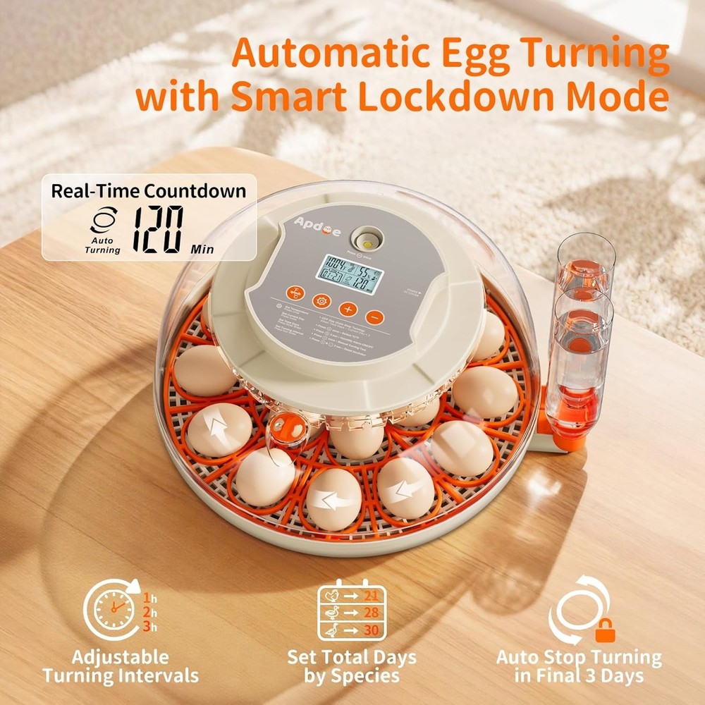 Versatile Egg Hatcher for Chicken, Duck, Quail Eggs