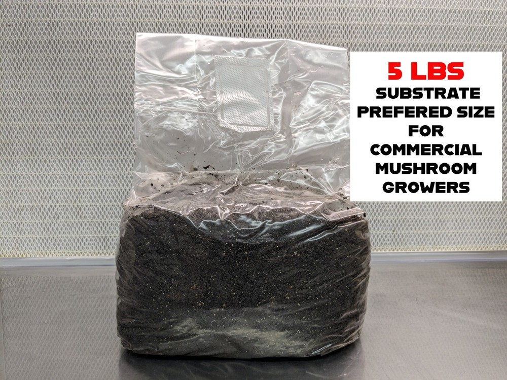 5 LBS Black Coco Mushroom Substrate