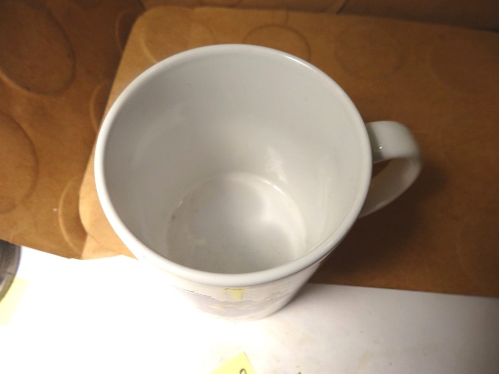 Anova Coffee Mug, Disney (Used/EUC)