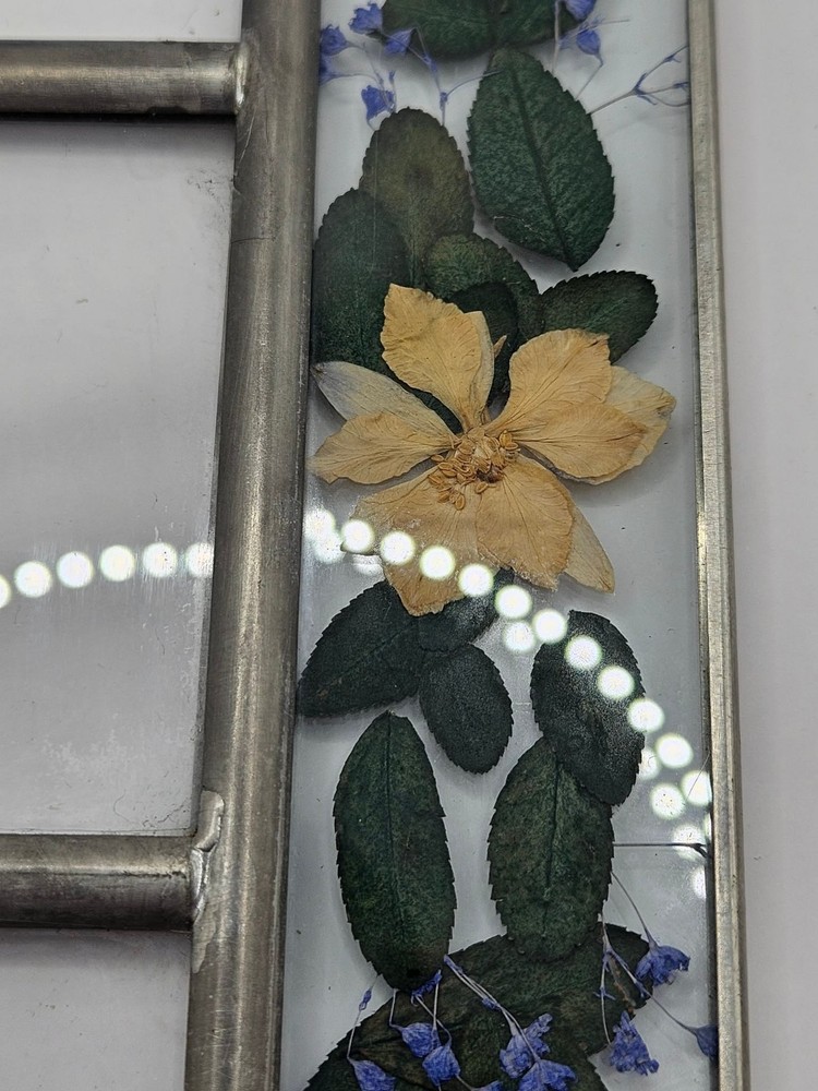 Pressed Flower wall hanging linked frames