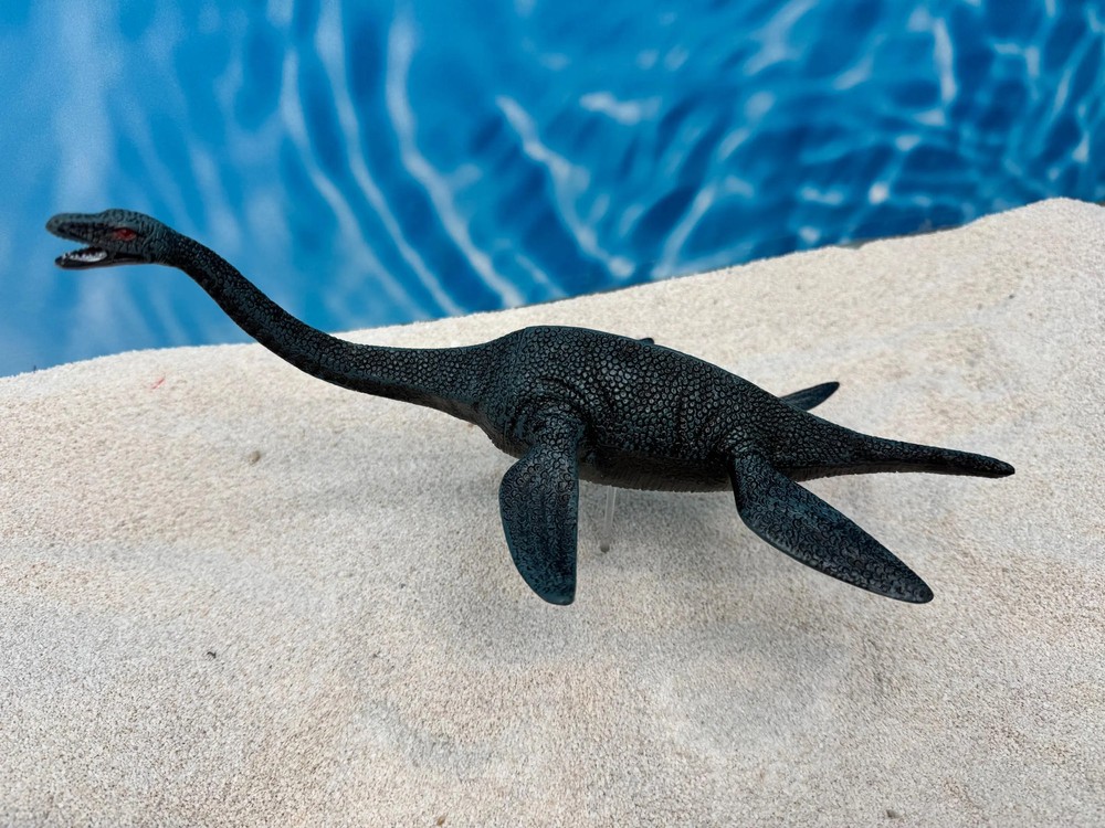 Plesiosaur
