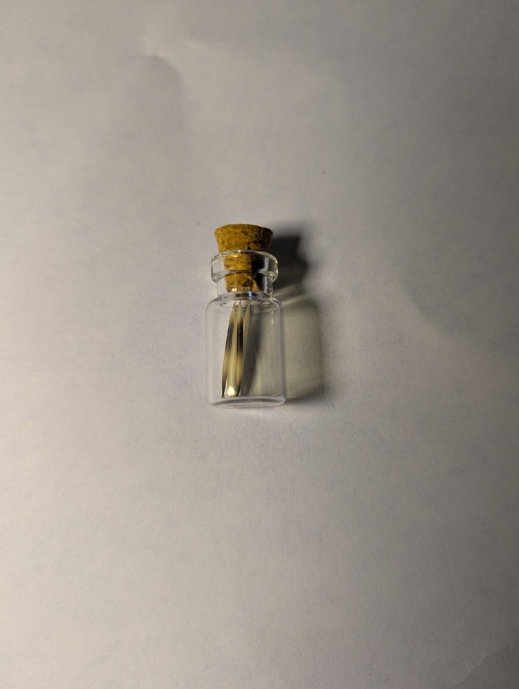 Hedgehog Quills Jar #1