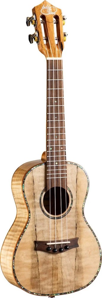 EDDY FINN EXPRESSION CONCERT