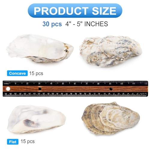30PCS Oyster Shells Flat & Concave 4"-5" Large 30PCS 4" - 5" Flat & Concave