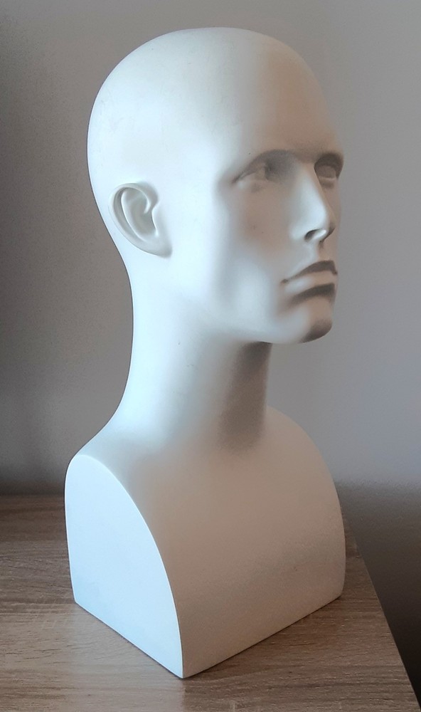 Male Mannequin Display Head