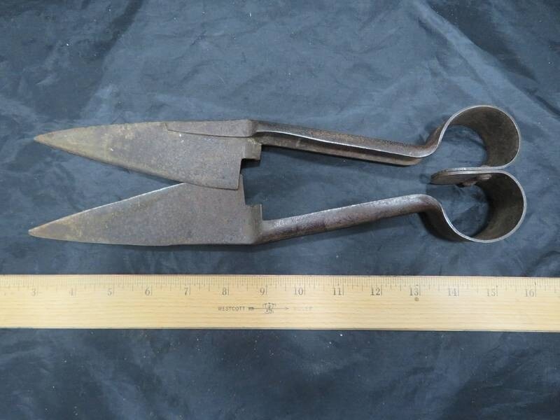 Antique Sheep Shars 12 1/2" Long