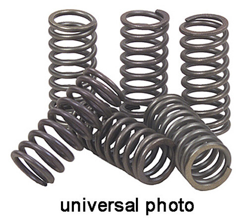 EBC CLUTCH SPRINGS CSK29