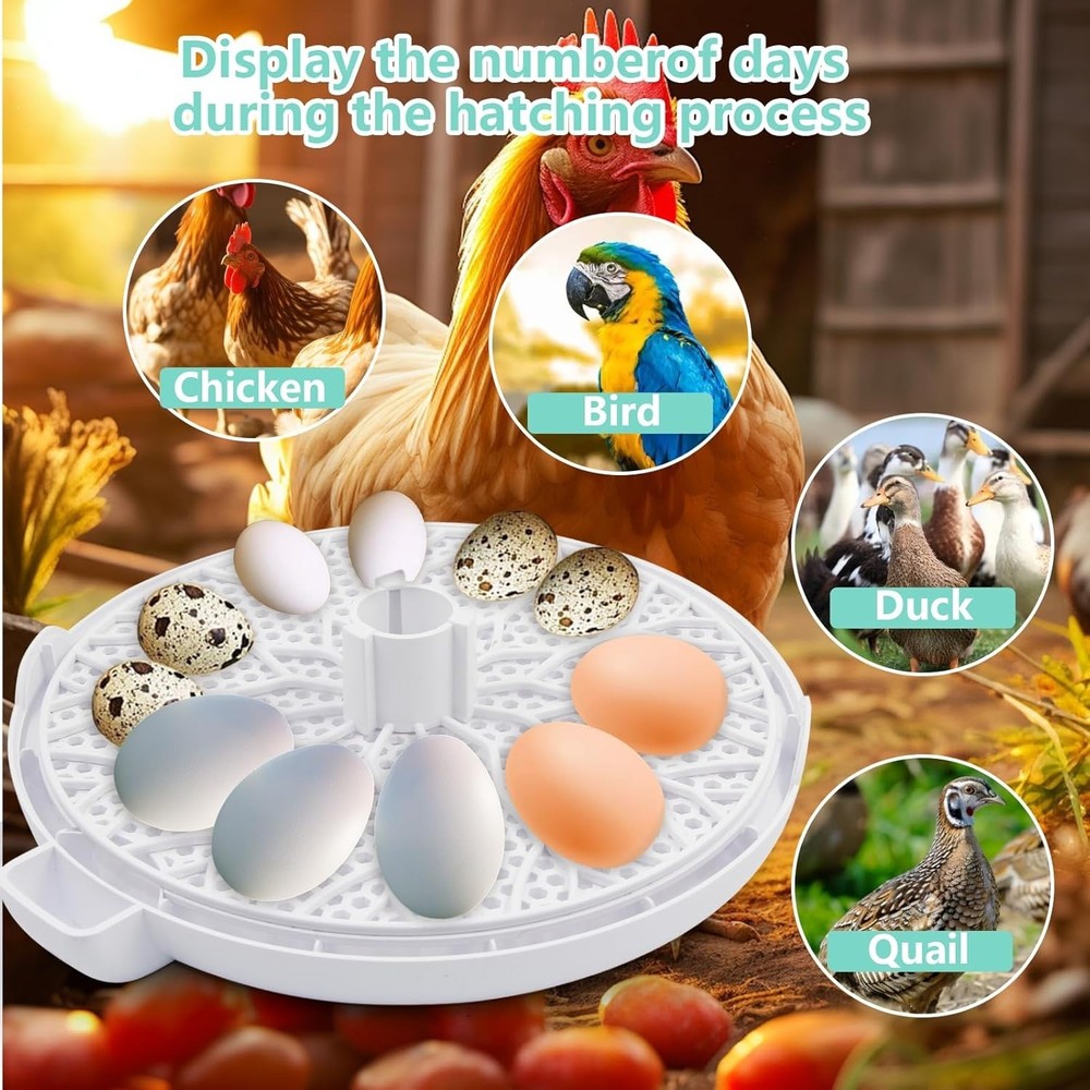 Egg Incubator for Hatching Chicks, Holds 12 Eggs, Automatic Egg Turner with Temp