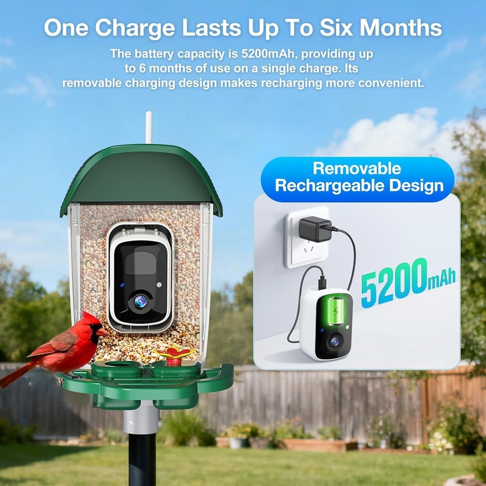 Smart Bird Feeder with 3MP HD Camera & AI Identify with Solar Panel