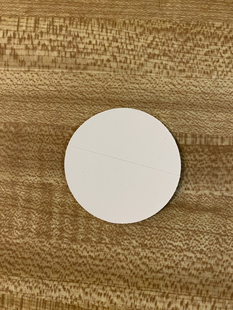 Buc-ee's Beaver Stickers 3 different Sizes