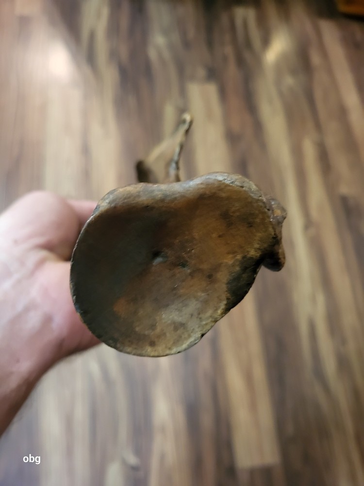 Historic Bison SHOULDER BLADE scapula
