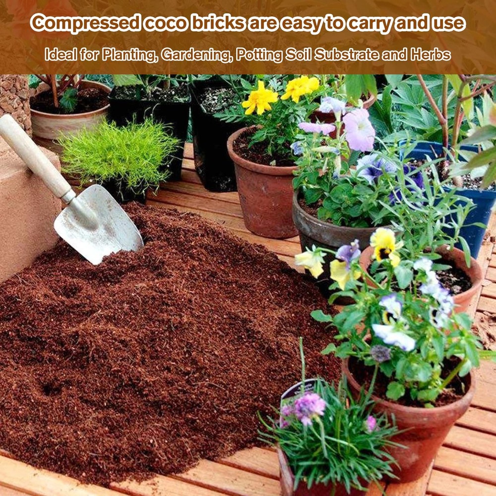 Pack of 10 Organic Coco Coir Bricks- 100% Natural Compressed Coco Peat Brick ...