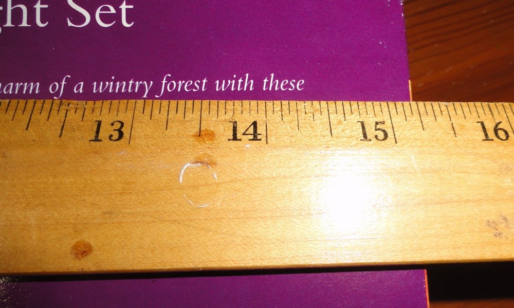Frosted Pinecone 20’String Lights ~ Christmas Tree ~ Camping Multipurpose