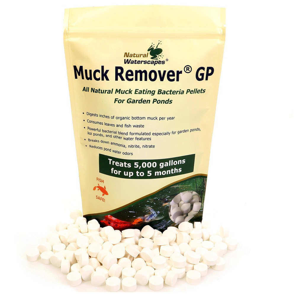 Muck Remover GP for Koi Ponds