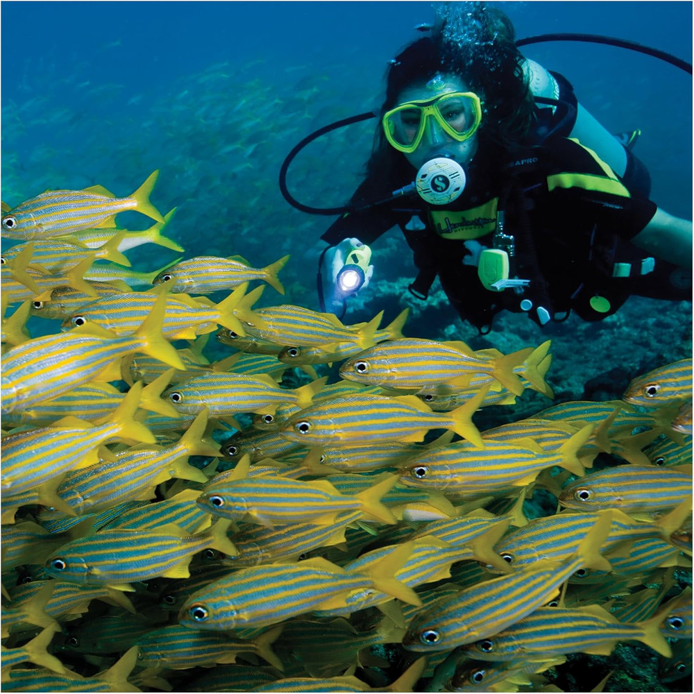 SL4 Eled MK2 Dive Light