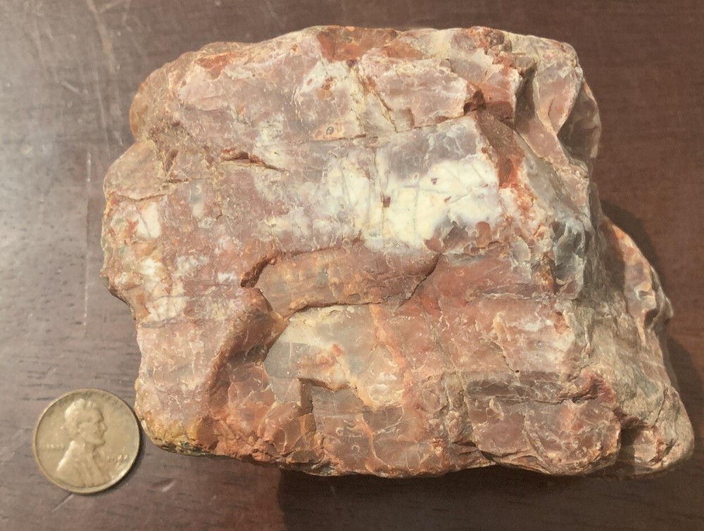 opalized petrified wood Arkansas Fossilized Agate Red
