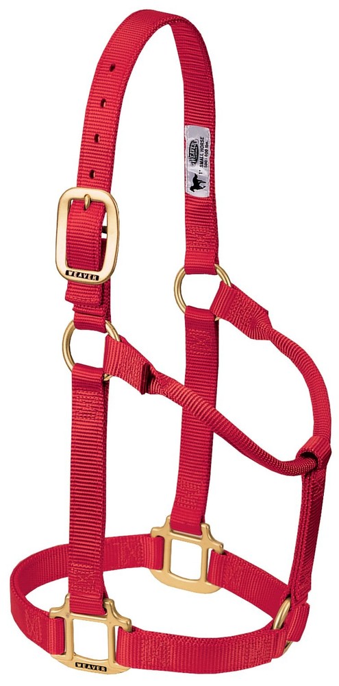 Weaver Leather Original Non-Adjustable Nylon Horse Halter - Large/Draft Size