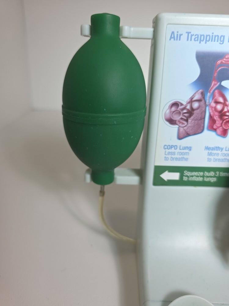 Vintage Pfizer Lung Display Model - Interactive Pump-expanding Lungs Works