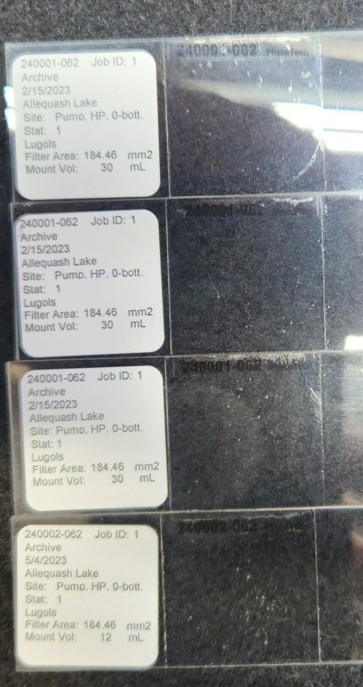 New Microscope Slides