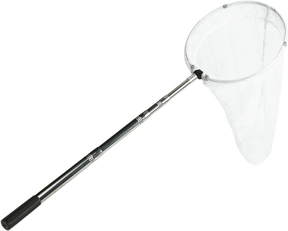 Compact Butterfly Net with Telescopic Handle, 12" Ring, 24" Depth for Collecting