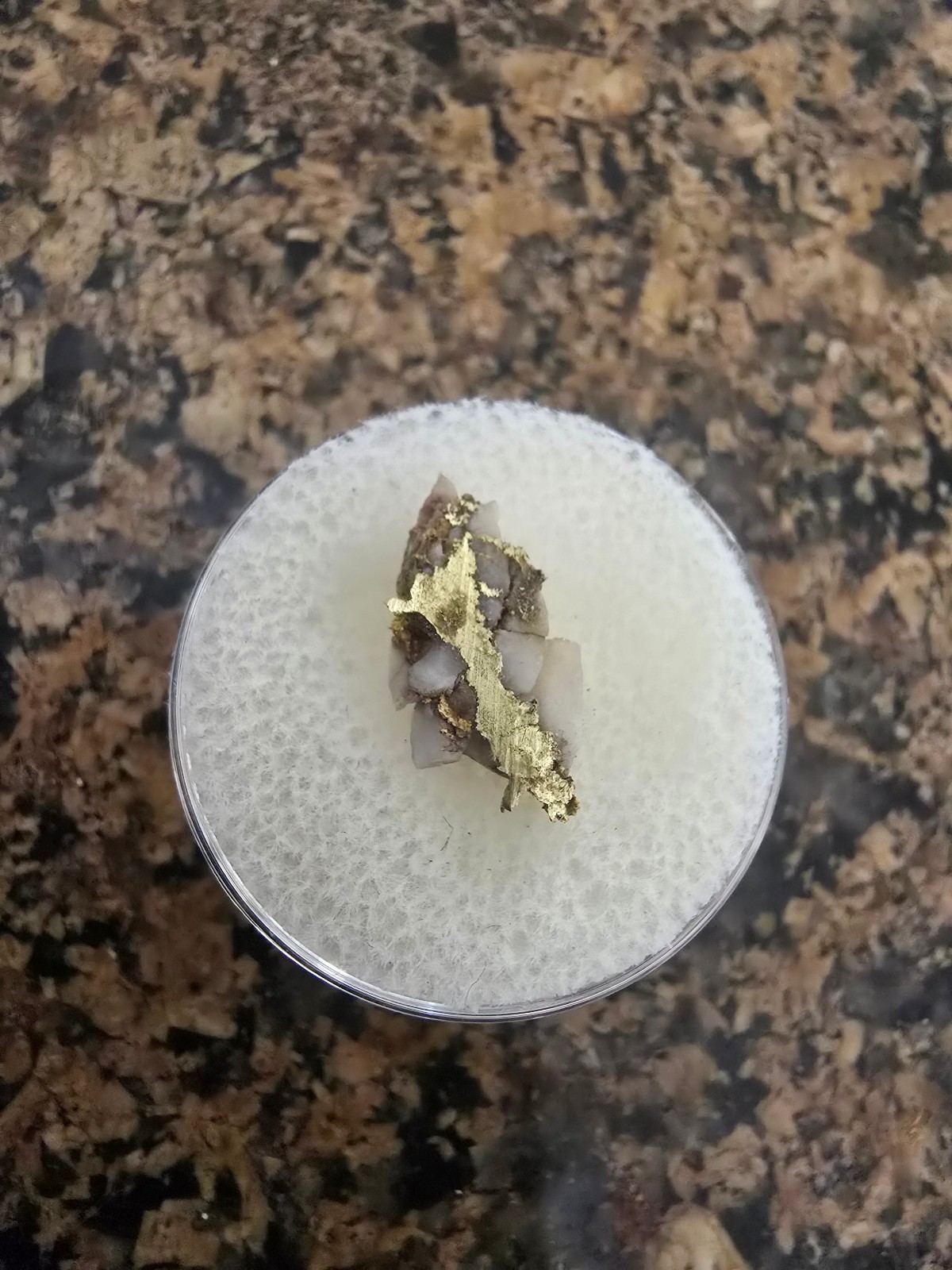 Natural California Gold & Quartz Specimen 0.84g High Purity Gold/Quartz Nugget