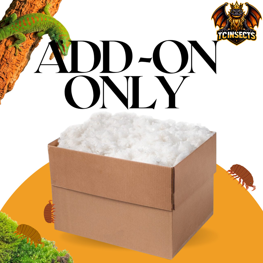 Add-On Only -  Insulated Stuffing for Live Feeder Insect Orders