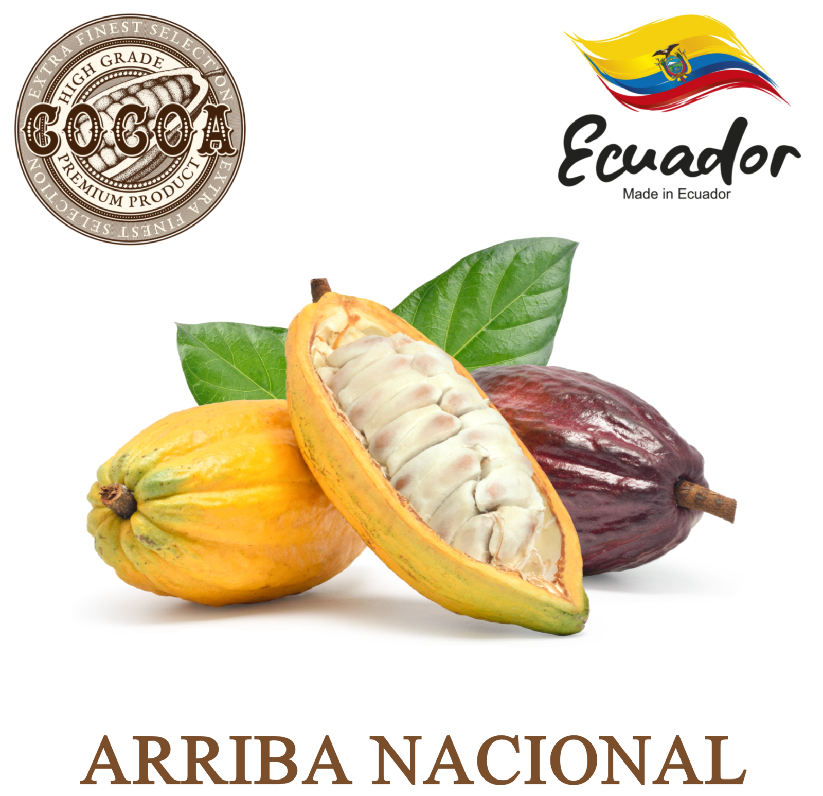 Raw Cacao / Cocoa Beans Whole Chocolate Arriba Nacional Bean 1 oz to 15 Lb Bulk