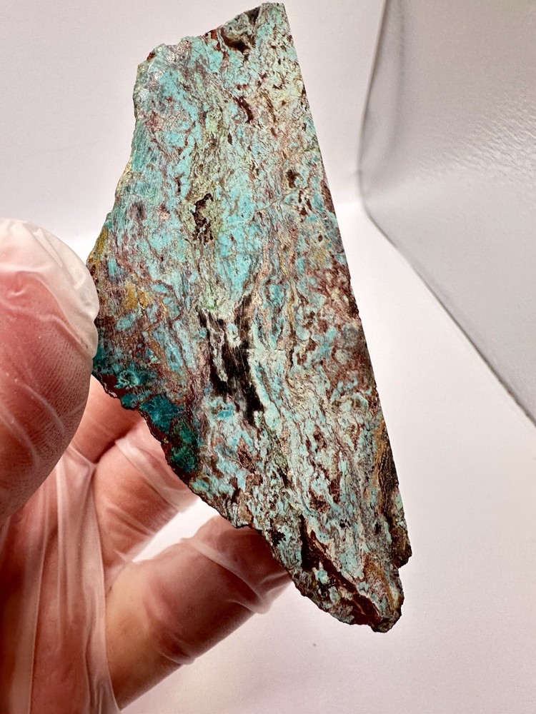 Congolese Chrysocolla Specimen - Polished Front & Base - End Cut Lapidary