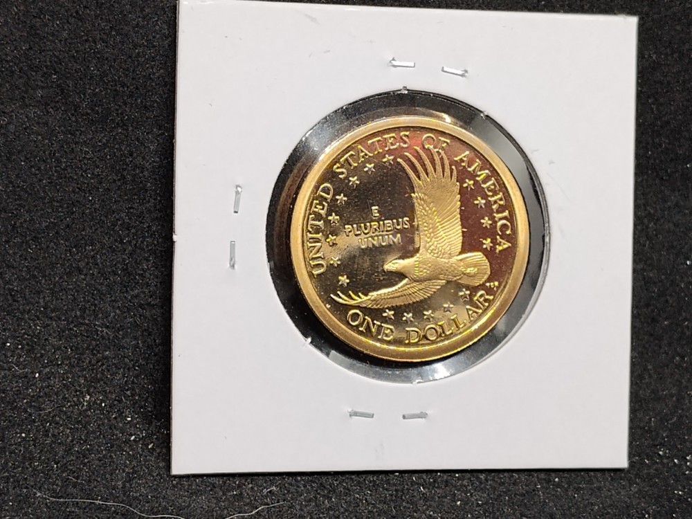 2004 S Proof Native American Dollar