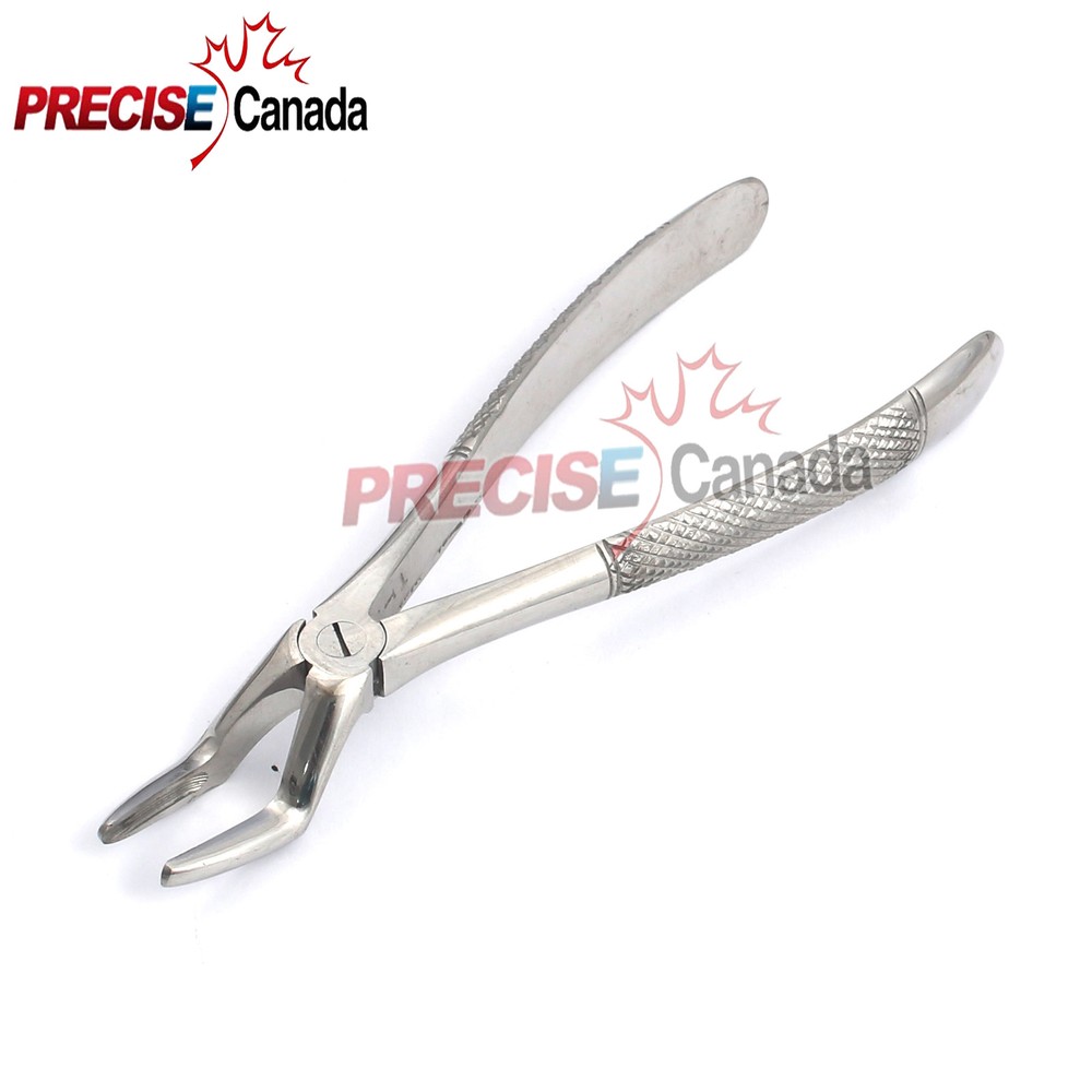 Extraction Forceps #51 English Pattern Dental Surgery Instruments