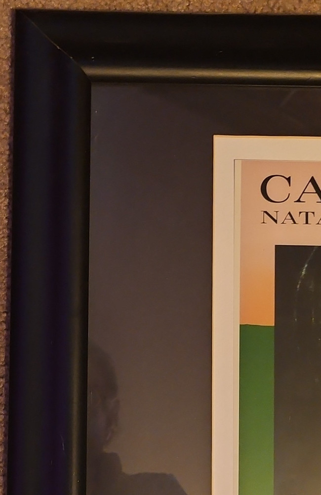 Natalie Merchant Signed Carnival CD Framed w/ Authentication