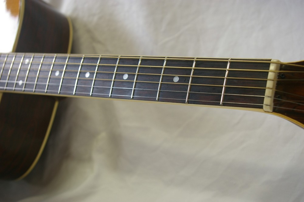 Favilla Guitars Aquila