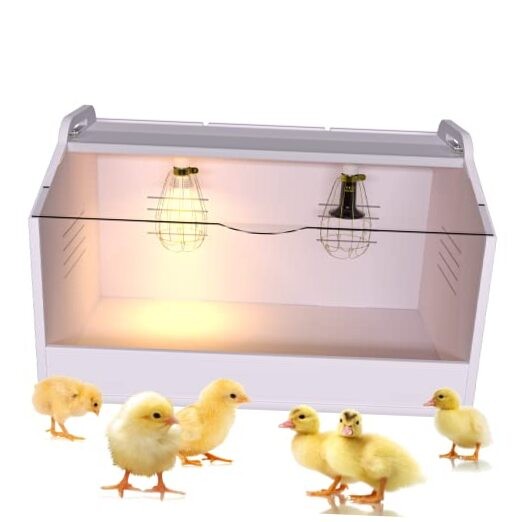 Brooder Box for Chicks ，Chick Brooder Heat up to 25 Chicks with 23" X 16" X 16"