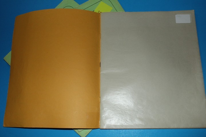 White Ace Mint Sheet File Capacity 14 pgs 1 pocket 12" x 9.75" BlueLakeStamps