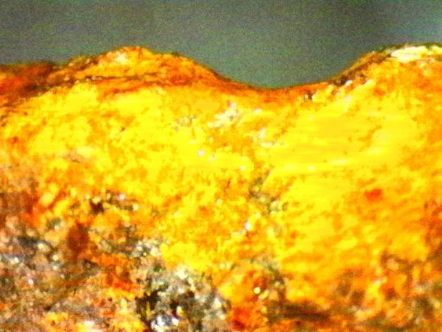 Gold Ore Specimen / Visible Gold