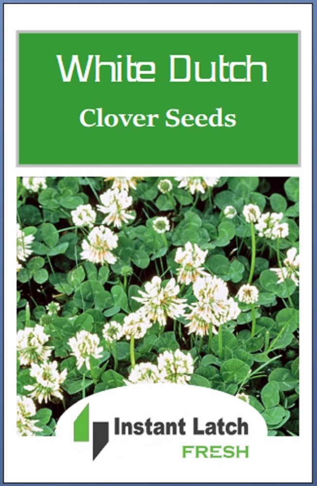 White Dutch Clover Cover Crop Seeds | NON-GMO | Heirloom | Fresh Flower Seeds