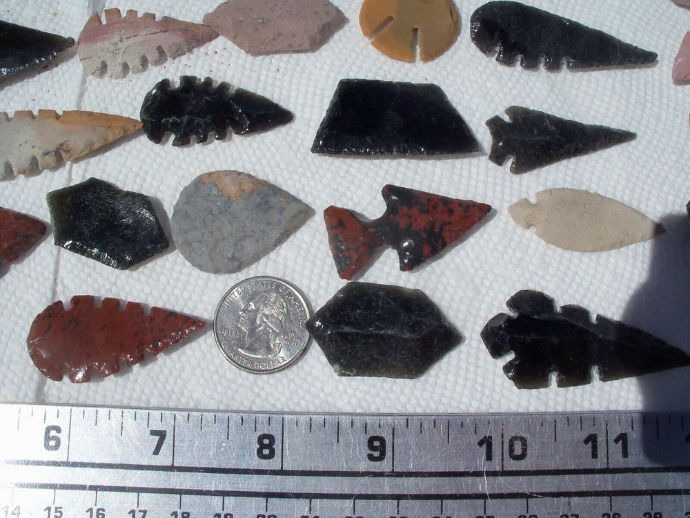 5 exotic Arrowheads per lot.