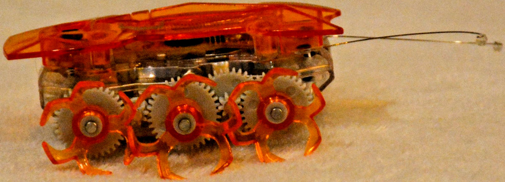 Hexbug Robotic Toys Micro Ant Spider Beetle Insect Creatures Remote Tech Scarab2