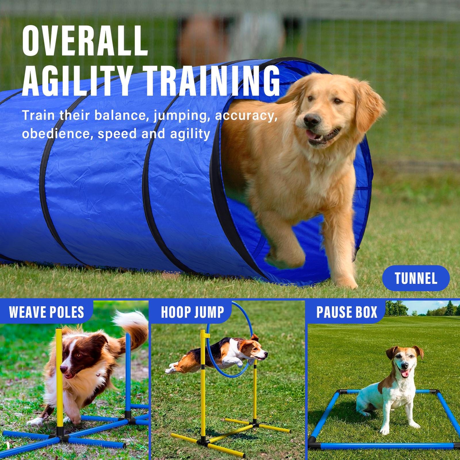 Dog Agility Course Backyard Set, Dog Obstacle Course Training Starter Kit