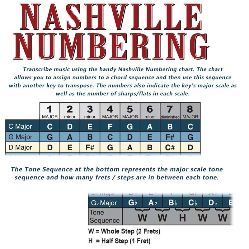 Laminated 5 String Bass Fretboard Wall Chart Poster Notes - 8.5" x 11"