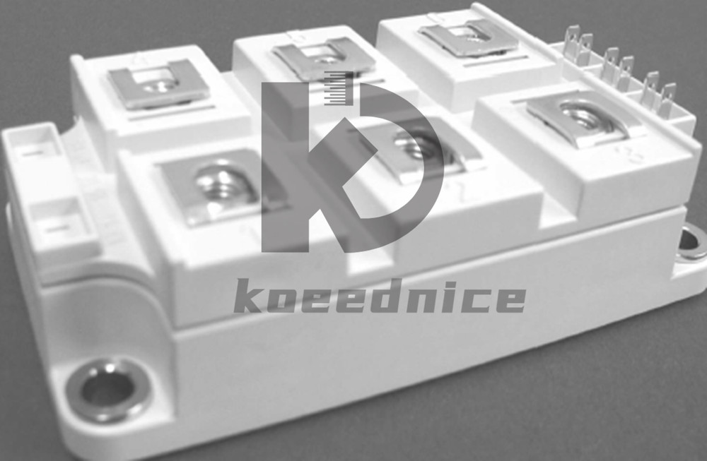 SEMIKRON SKKR300/0.2-BVR Power Supply Module NEW