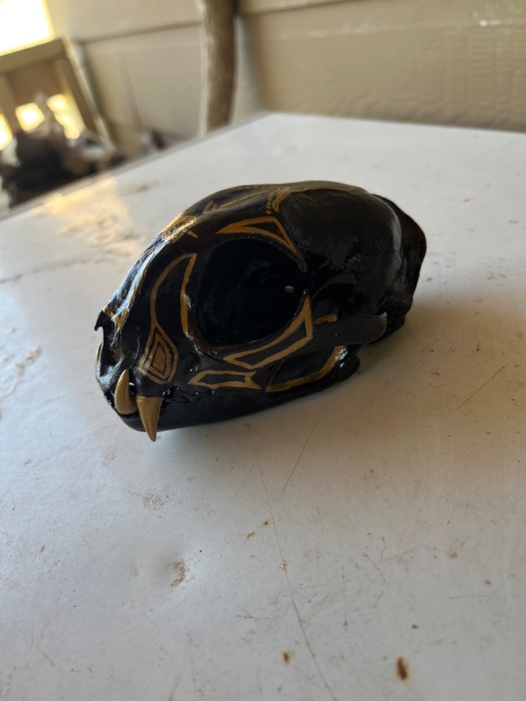 Painted Bobcat Skull please read description