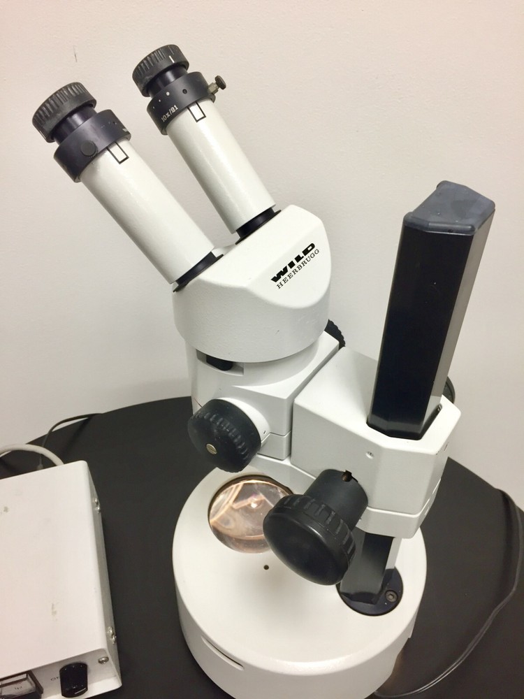 Heerbrugg WILD M3Z Stereo Zoom Microscope w/ Light Source