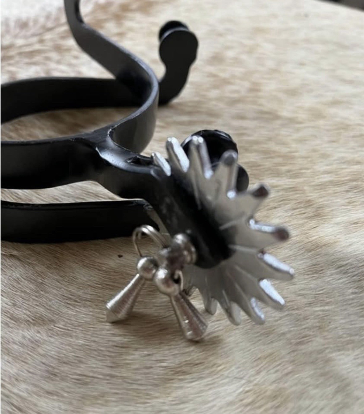Adult Size Black Steel Spurs with Jingle Bobs On Oversized Silver Rowels PAIR