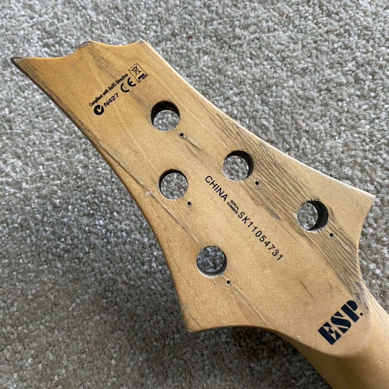 ESP LTD 5 String Bass Maple Neck, Rosewood Fingerboard