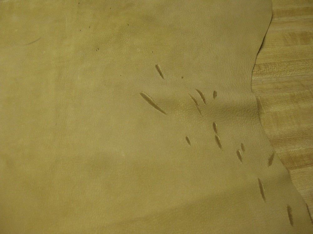 Top Grain Deer Leather #0010168 row B