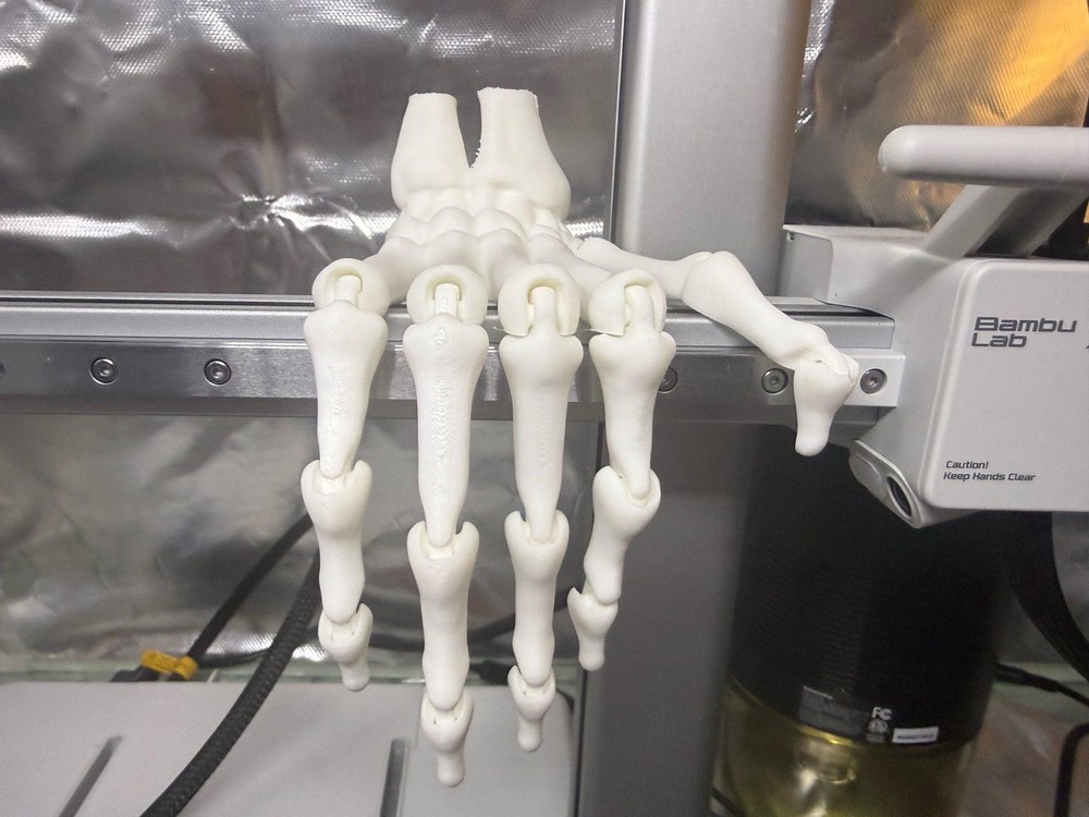 Human Hand Skeleton Life-Size Model: Detailed Bone Structure, Portable Study Aid