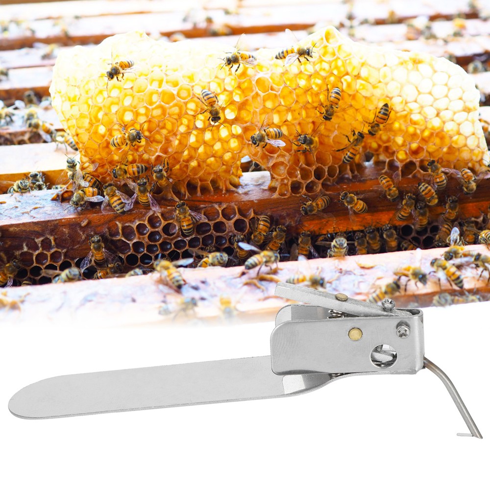 Beekeeping Grafting Tool Single‑End Queen Bee Larva Grafting Needle AC