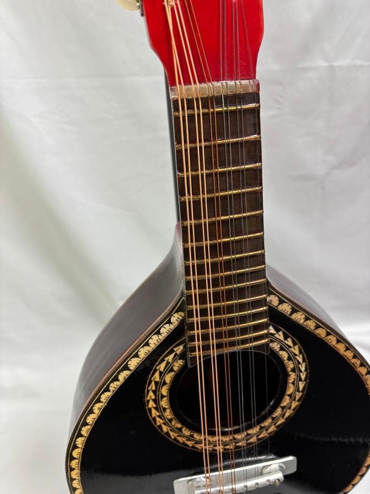 Oscar Schmidt Stella 12-string (1920s)